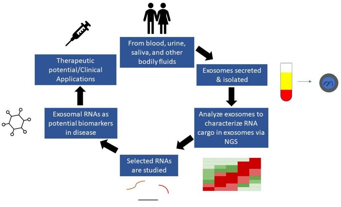 Fig.2 Workflow of exosome biomarkers discovery. (Elkommos-Zakhary, Neeraja & Vladimir, 2022)