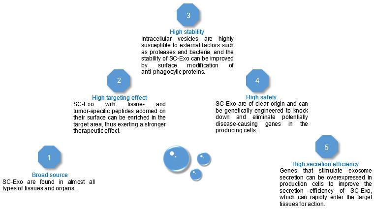 Fig.3 Characteristics of SC-Exosomes. (Creative Biolabs Original)