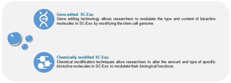 Fig.2 Techniques for Engineering SC-Exosomes. (Creative Biolabs Original)