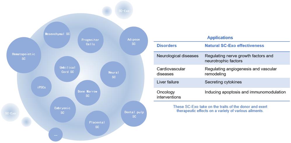Fig.1 Native SC-Exo summary. (Creative Biolabs Original)