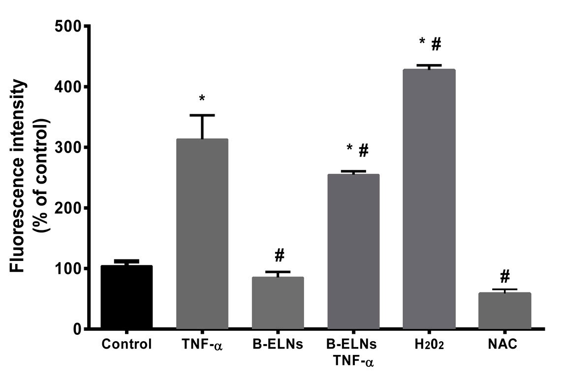 Intracellular ROS production in EA.hy926 cells pretreated with B-ELNs. (De Robertis, 2020)