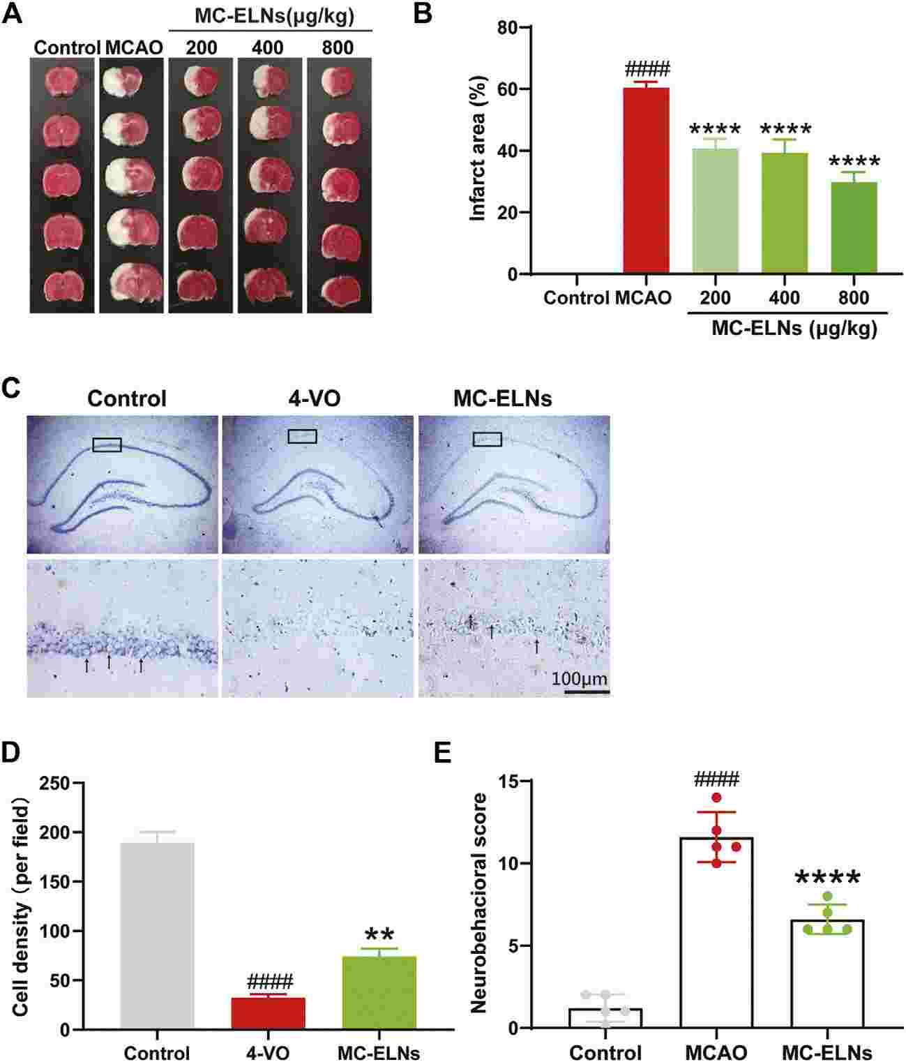 Bitter melon-derived exosomes improve neurological function in vivo. (Cai, et al., 2022)