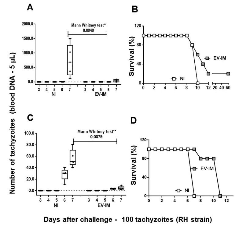 Fig. 2 Mice immunized with exosomes released from Toxoplasma gondii tachyzoite developed reduced parasitemia and increased survival. (Maia, et al., 2021)