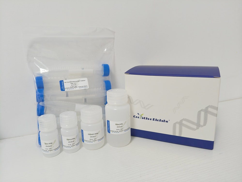 EIK-04 (10 reactions) product photo. (Creative Biolabs Original)