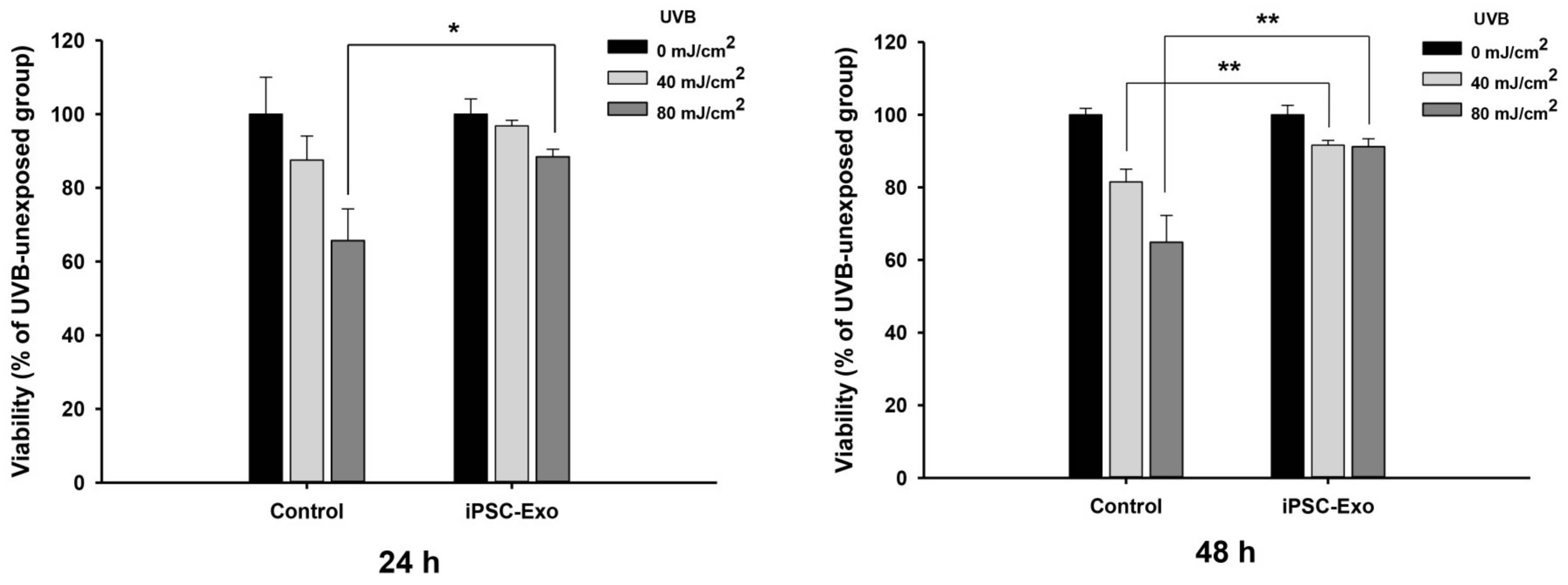 Fig.1 The protective role of iPSC-derived exosomes against UVB-induced cellular damage.