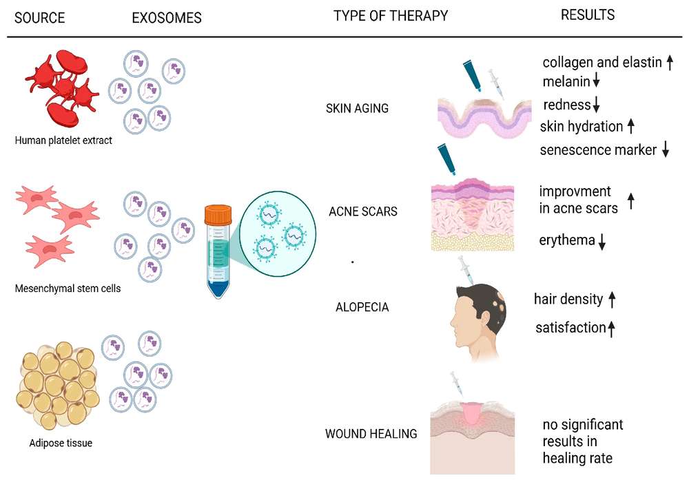 Fig.1 Current EV applications in cosmetics.