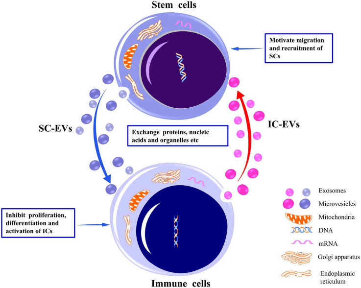 EVs from stem cells and immune cells. (Xie, et al., 2020) (OA Literature)