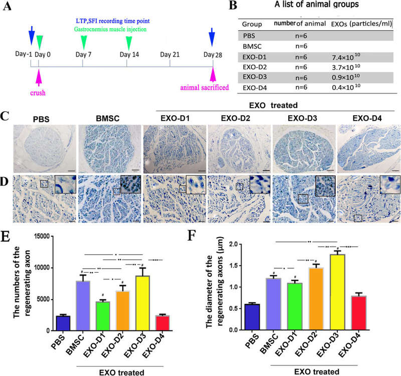 Exosome dose enhances myelinated nerve regeneration. (Zhao, et al., 2020) (OA Literature)