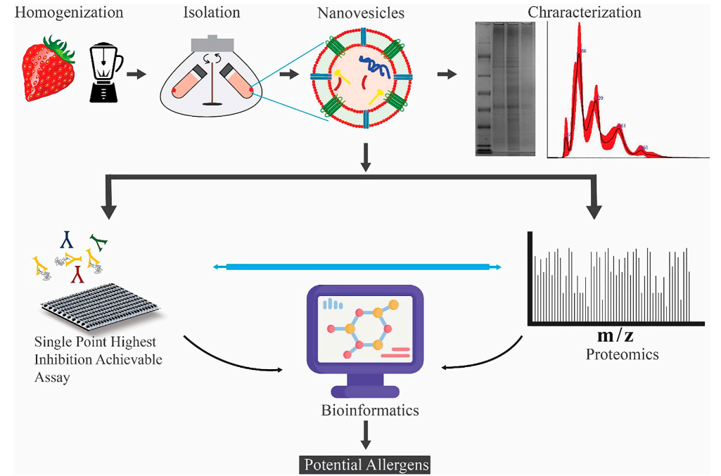 Fig.2 Diagram of exploring allergenic proteins in strawberry vesicles. (Stanly, et al., 2021) (OA Literature)