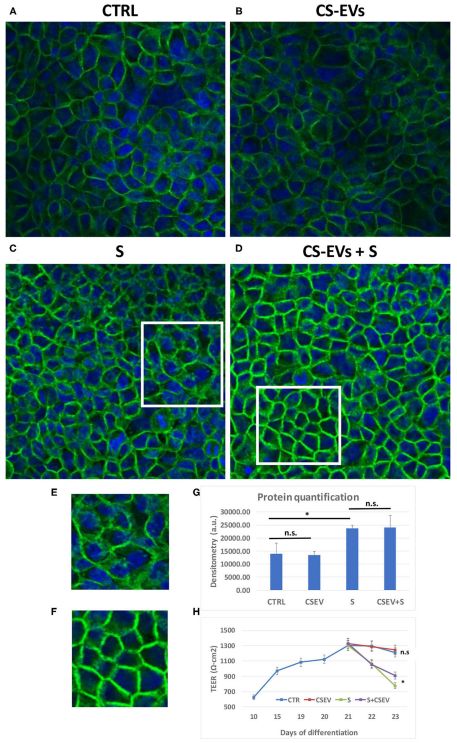 Fig.1 Orange-derived exosome effects. (Bruno, et al., 2021) (OA Literature)