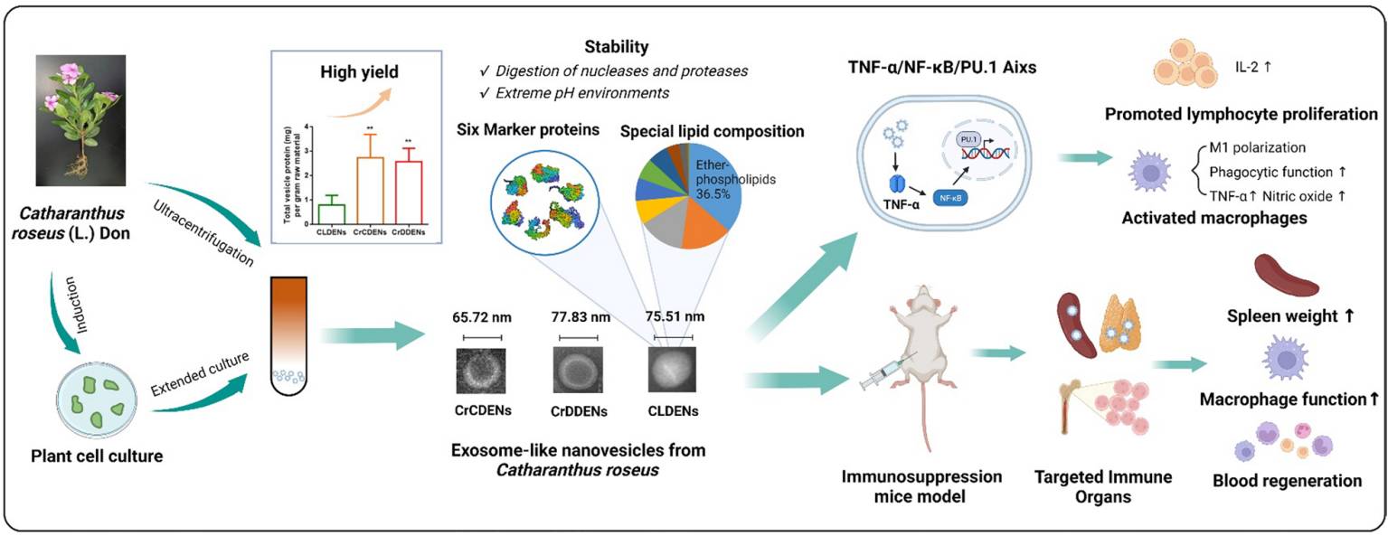 Fig.1 CRDE research. (Ou, et al., 2023) (OA Literature)