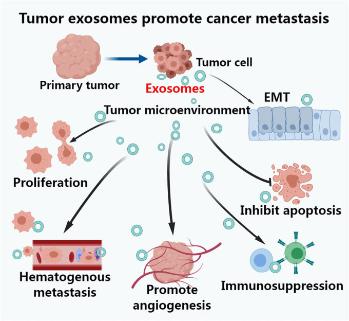 Tumor-derived exosomes promote cancer spread. (Jiang, et al., 2021)