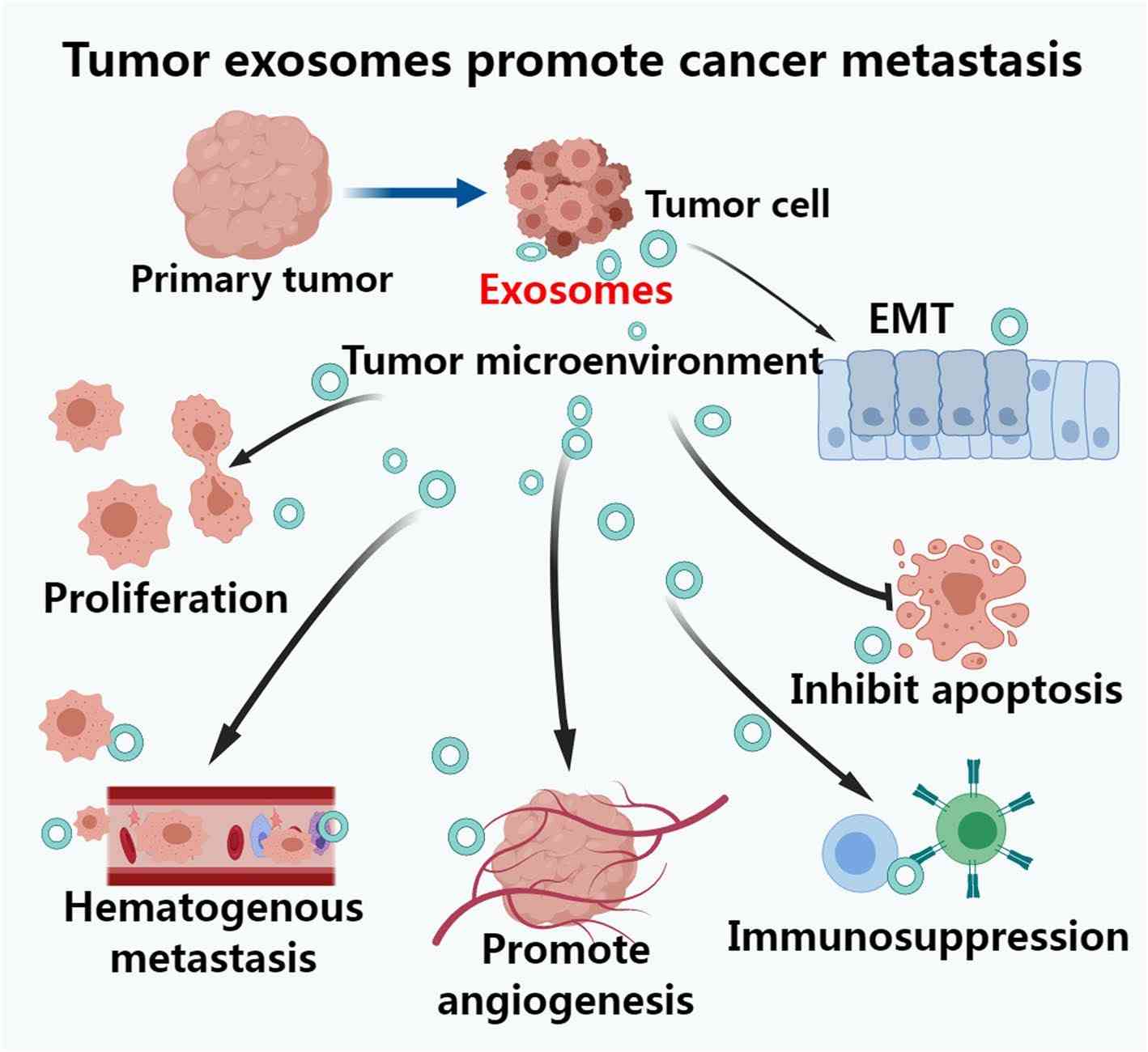 Fig.1 Tumor-derived exosomes promote cancer metastasis. (Jiang, et al. 2021)