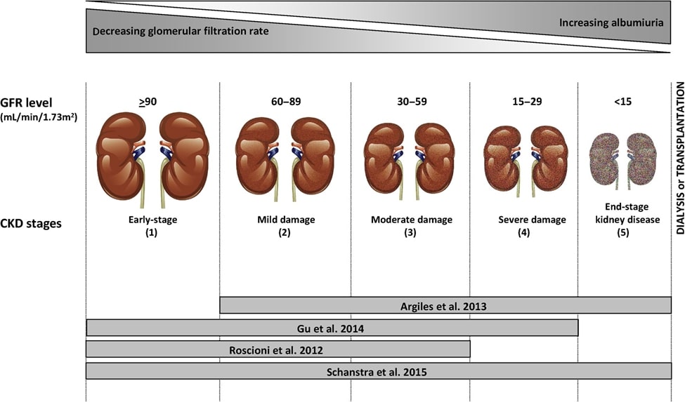 Schematic depiction of the reviewed investigations evaluating the prognostic performance of the CKD273 classifier in predicting CKD progression according to disease.