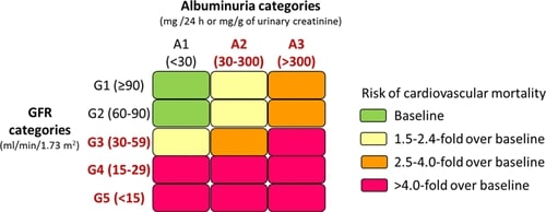 KD categories according to KDIGO 2012 Clinical Practice Guideline for the Evaluation and Management of CKD and heat map of cardiovascular mortality risk.