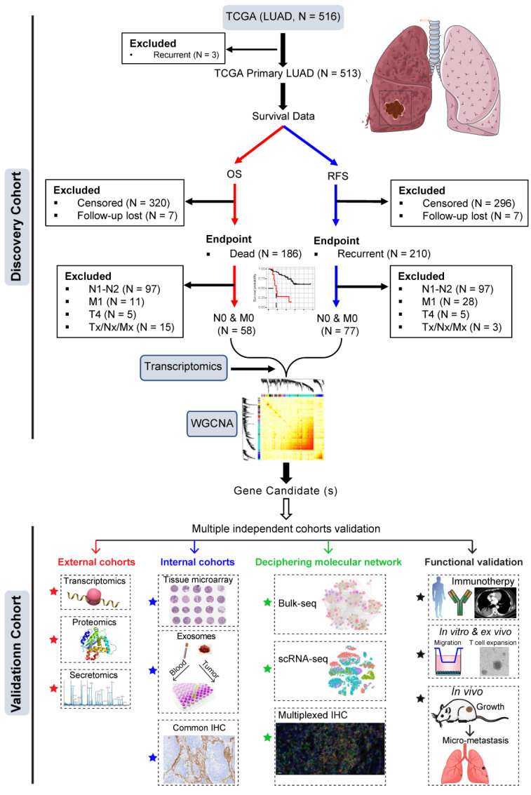 Fig.2 Lung adenocarcinoma tissue exosomes. (Yang, et al., 2022) (OA Literature)