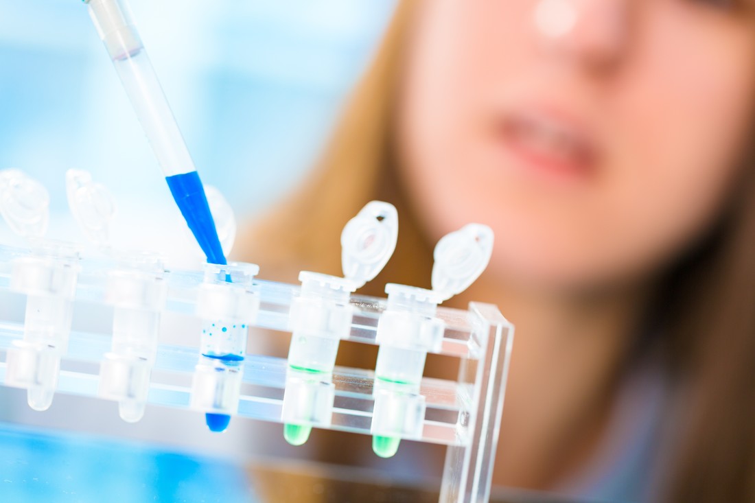 Fig.2 A piece of ginseng. (Creative Biolabs AI)