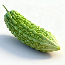 Fig.1 Bitter Melon. (Creative Biolabs AI)