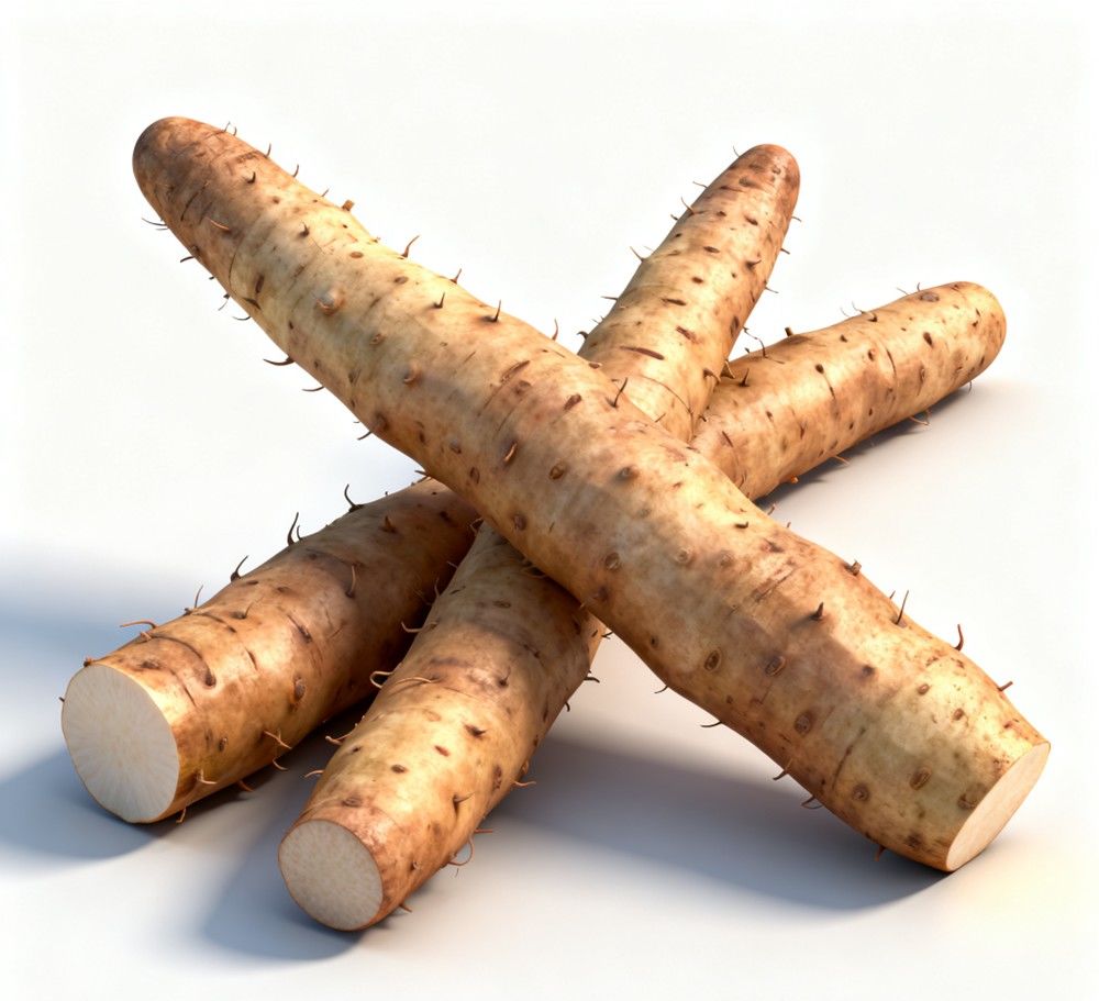 Fig.2 Yam. (Creative Biolabs AI)