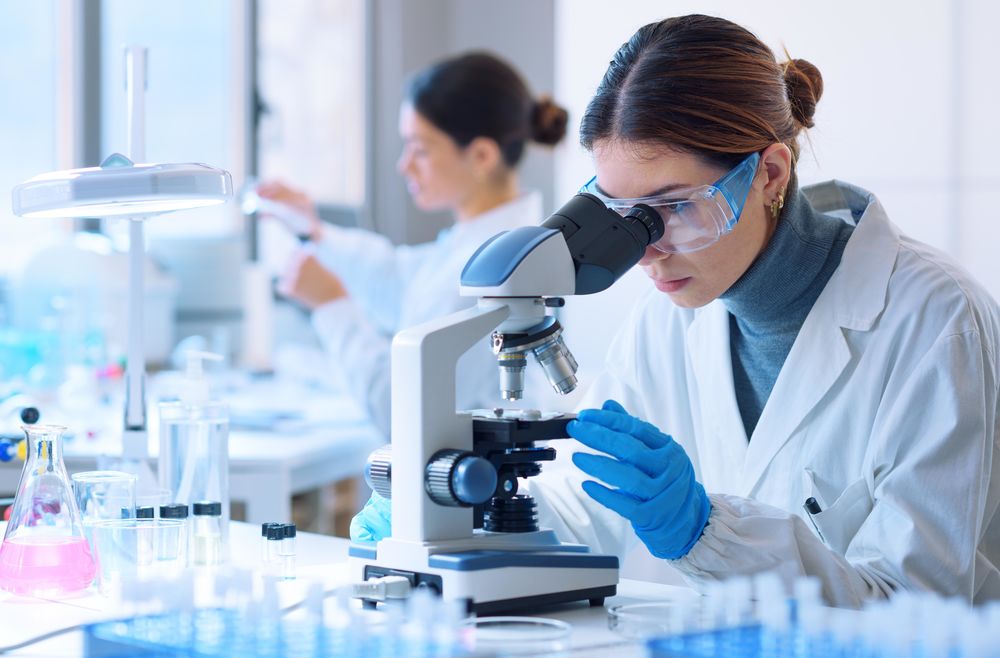 Fig.2 http://47.109.42.40:8006/images/99ce66594cc1ff4762f32418f6f020cb.jpg. (Creative Biolabs Authorized)