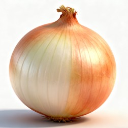 Fig.2 Onion. (Creative Biolabs AI)