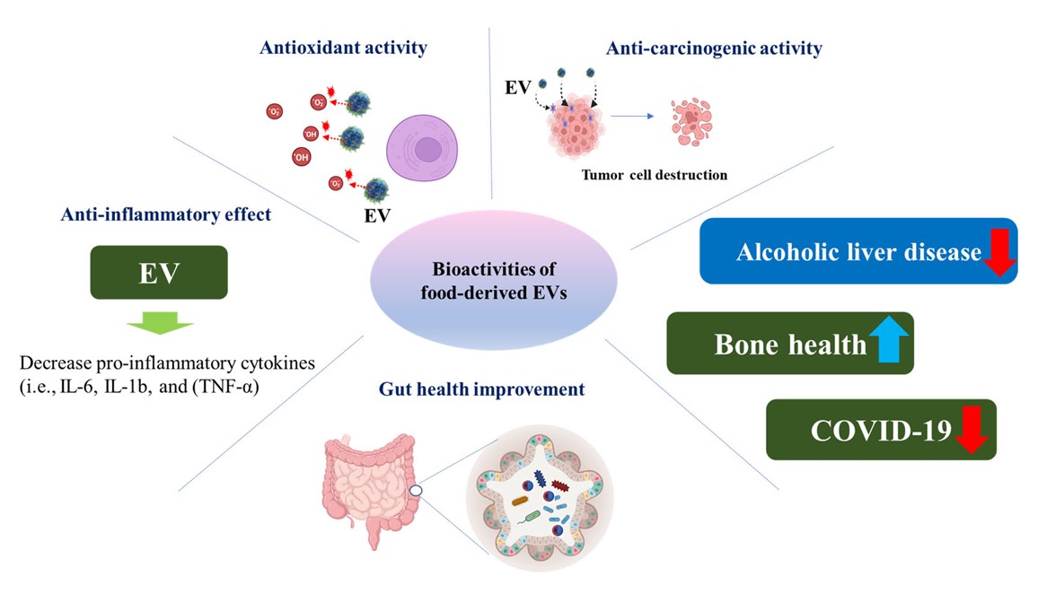 Fig.1 Several health advantages of EVs. (Yeo, 2023)