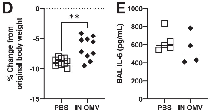 Fig.2 Nasal delivery of A. baumannii exosomes reduced weight loss and inflammation in mice.