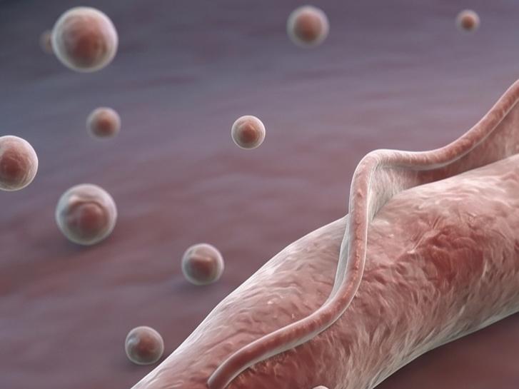 Fig.1 Leishmania-derived Exosome. (Creative Biolabs AI)