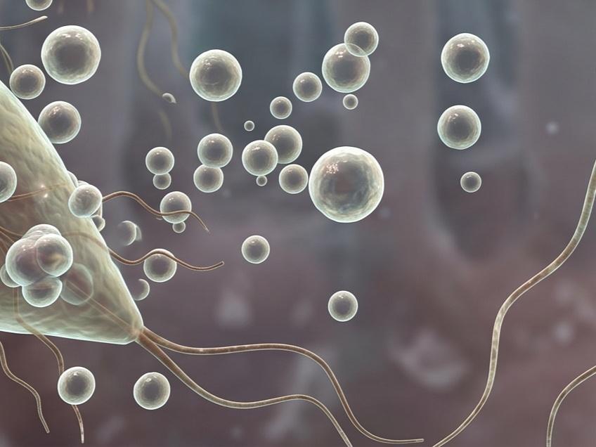 Fig.1 Giardia-derived Exosome. (Creative Biolabs AI)
