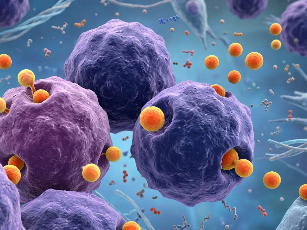 Fig.2 The cells are releasing exosomes. (Creative Biolabs AI)