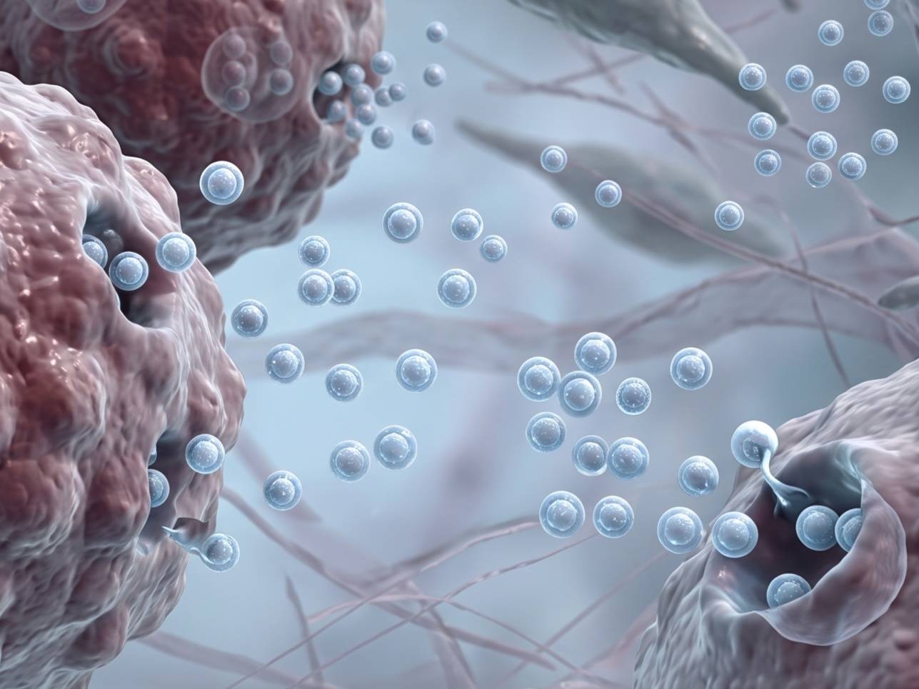 Fig.2 Exosome-mediated intercellular substance exchange. (Creative Biolabs AI)