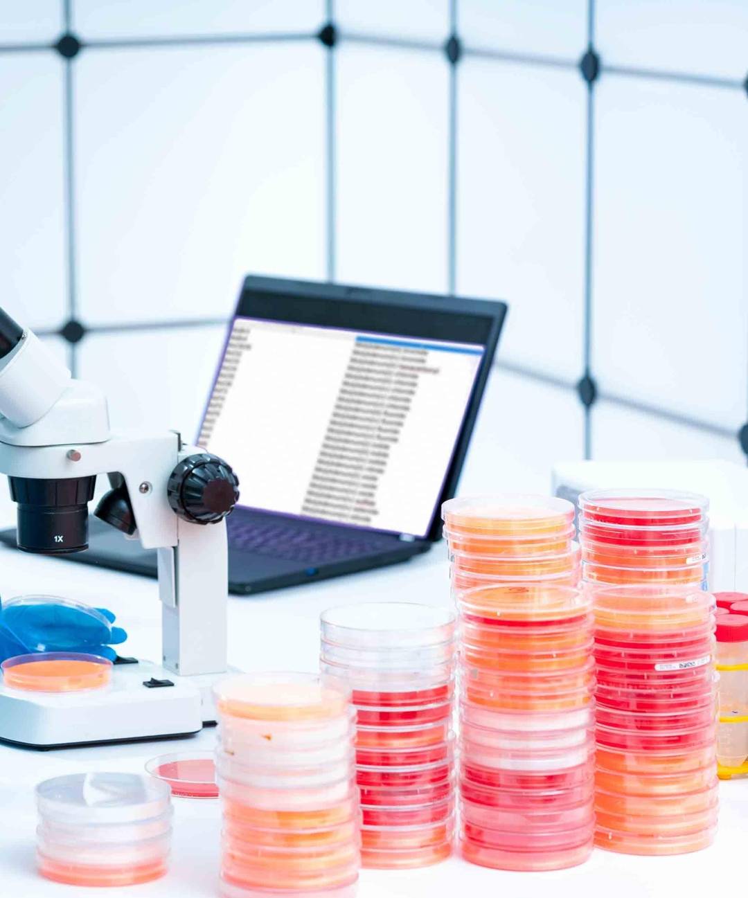 Fig.3 http://47.109.42.40:8006/images/d4dc099c5e860e41524e27cda832db19.jpg. (Creative Biolabs Authorized)