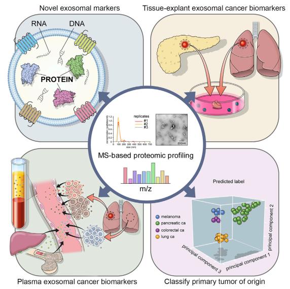 Extracellular vesicle and particle biomarkers define multiple human cancers.