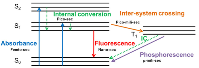 Excitation and emission of a fluorophore. 