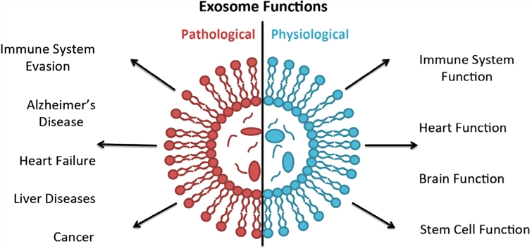 Exosome Profiling