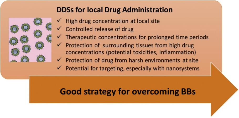 Fig.1 Advantages of drug delivery systems (DDSs) for localized Drug Administration.