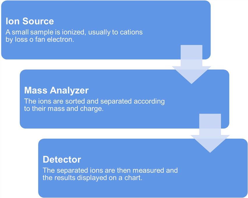 Mass spectrometry workflow. (Creative Biolabs Original)