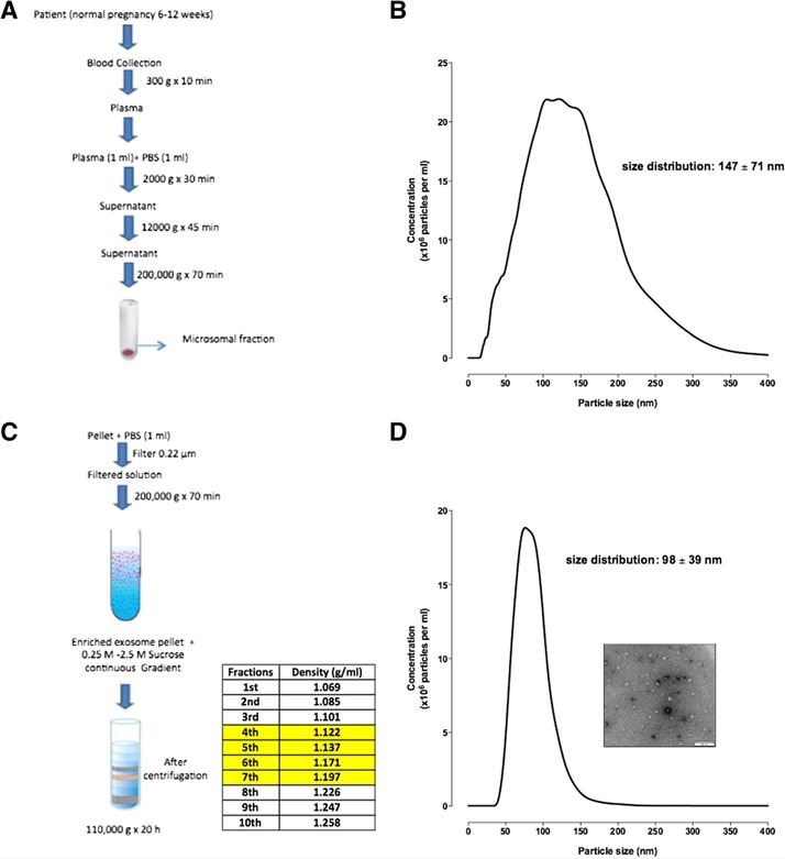 Characterisation of exosome. (Sarker, et al., 2014)