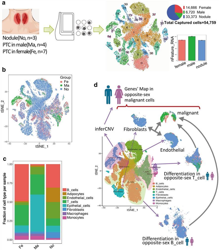Transcriptome profiling at the single-cell level. (Peng, et al., 2021)