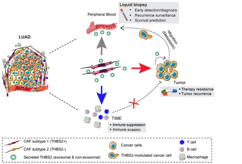 Assessment of immune checkpoint inhibitor response. (Yang, et al., 2022)