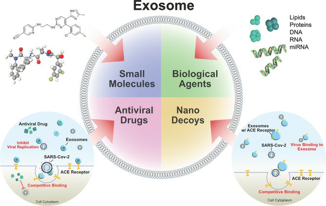 Exosomes as drug carrier for COVID-19.