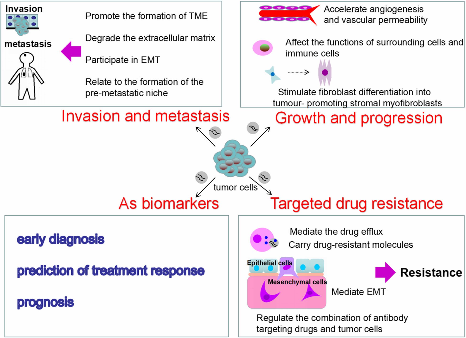 Roles of Tumor-derived exosomes in the NSCLC.