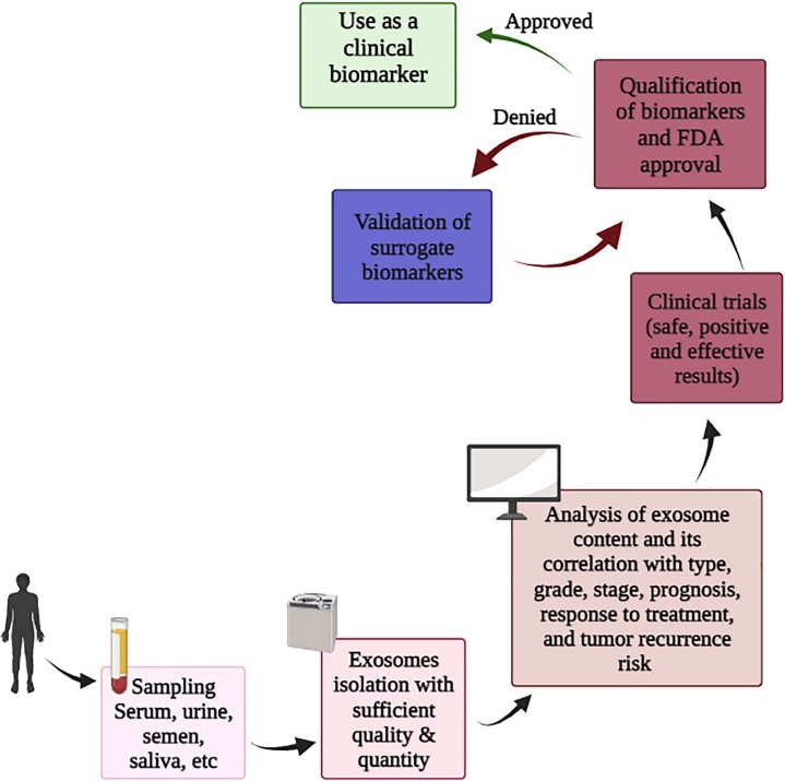 Fig.1 Validation steps for exosomal biomarkers for clinical applications.