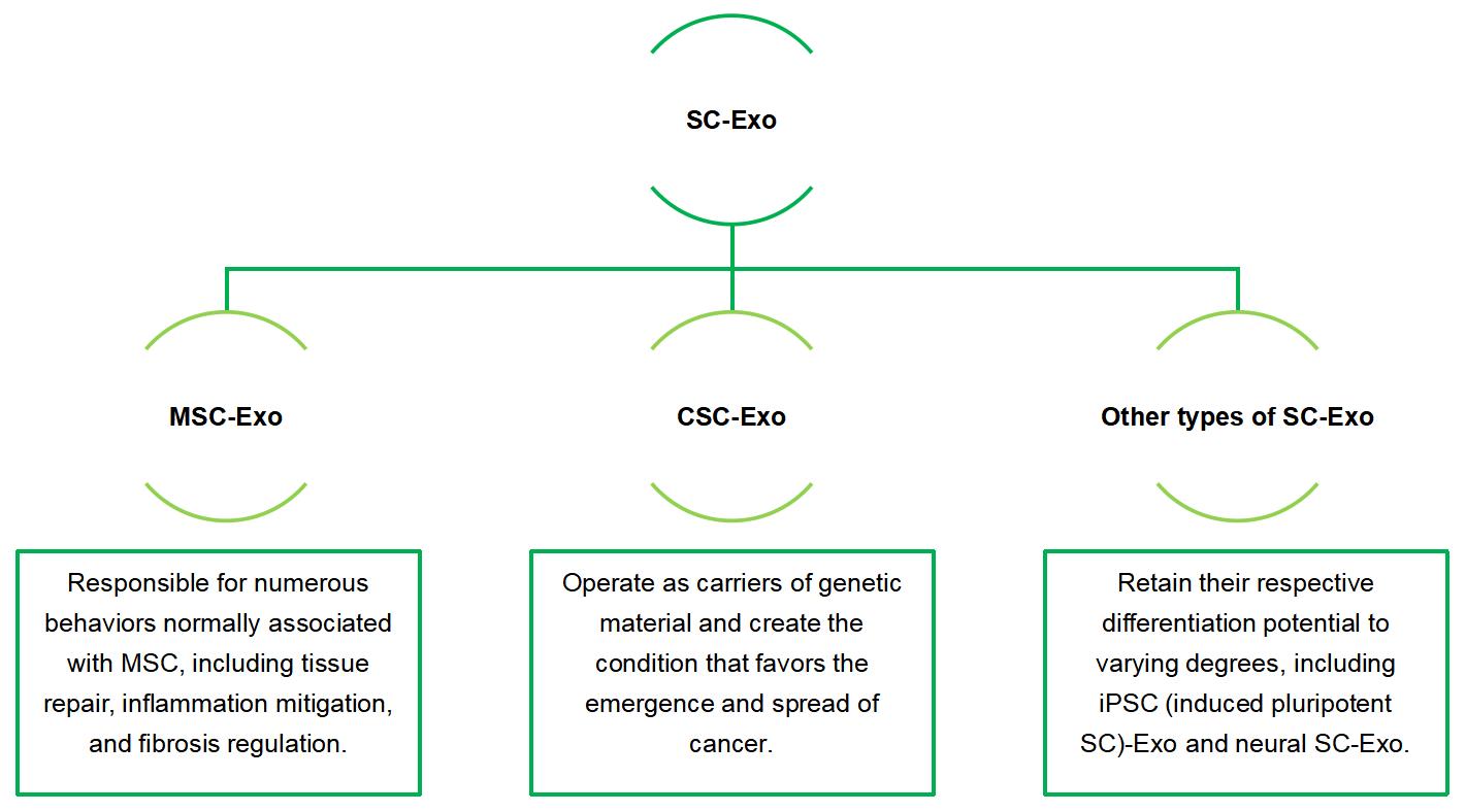 Variations Among Distinct Types of SC-Exo