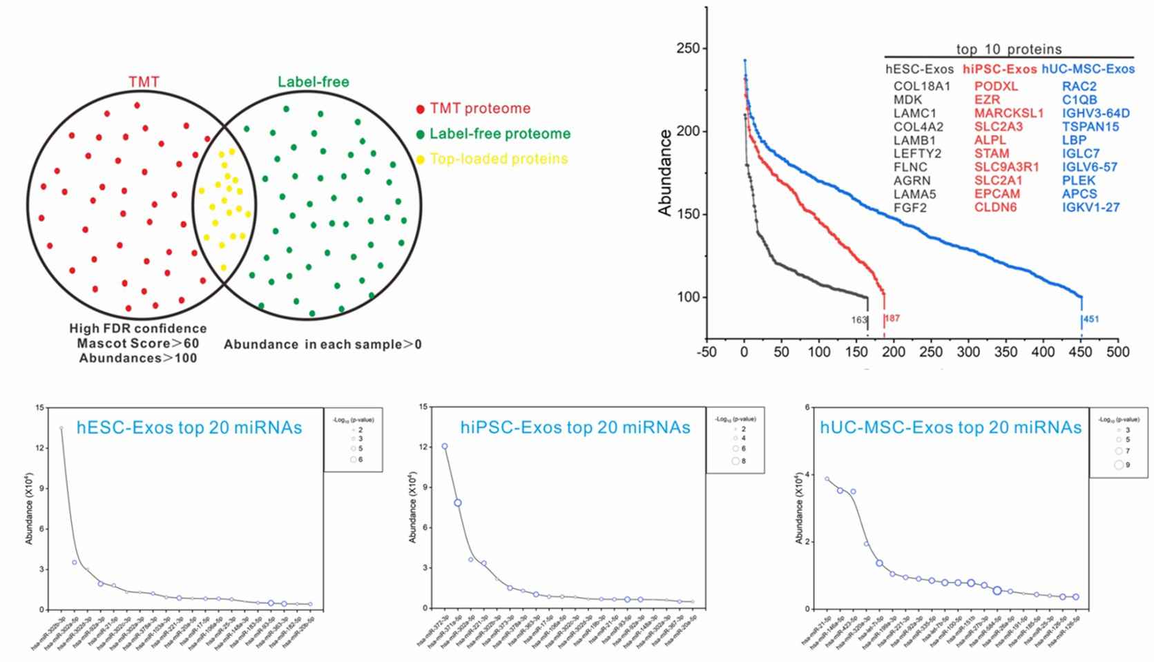 Fig.1 Three SC-Exo protein and miRNA profiles.
