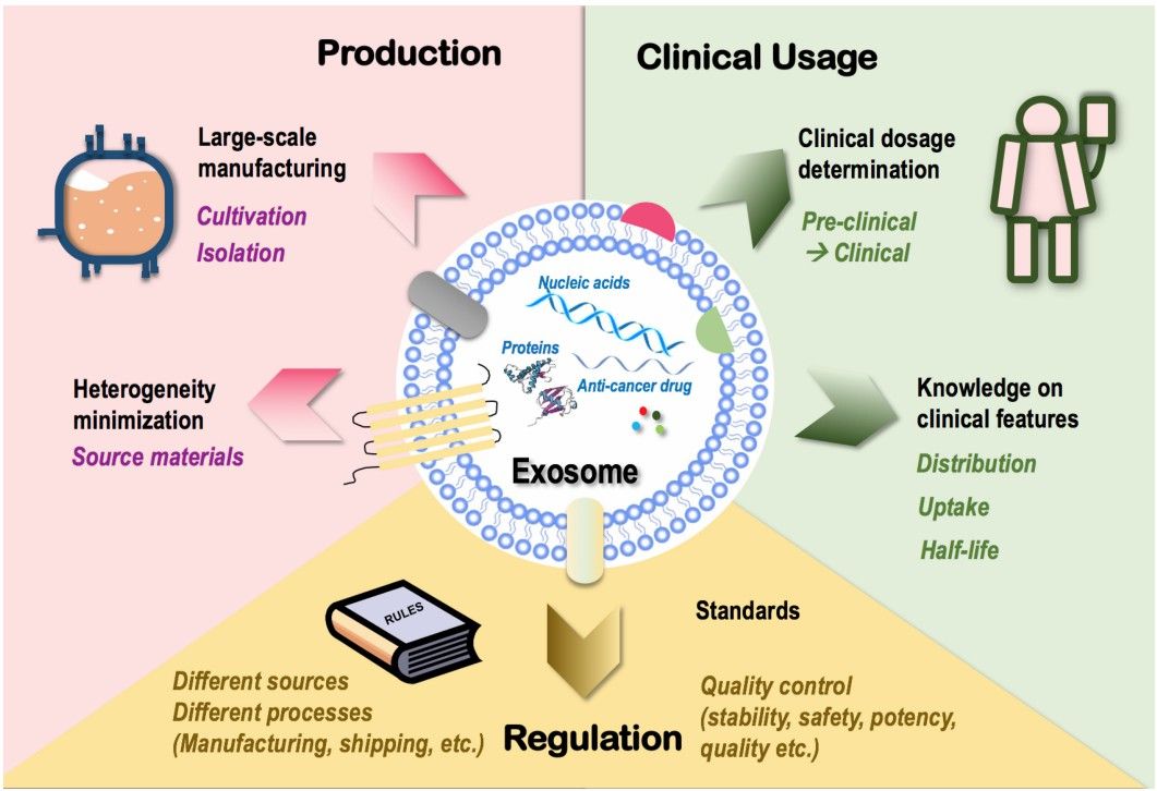Challenges in exosome applications.