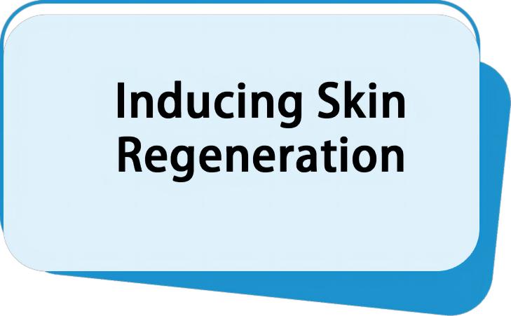 Inducing Skin Regeneration
