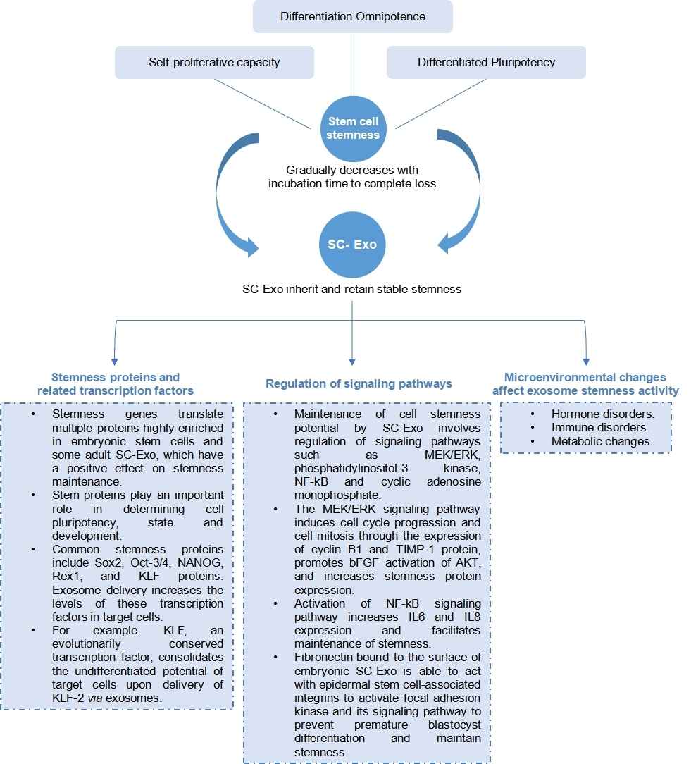 maintaining-cell-stemness-advantage-and-application-1