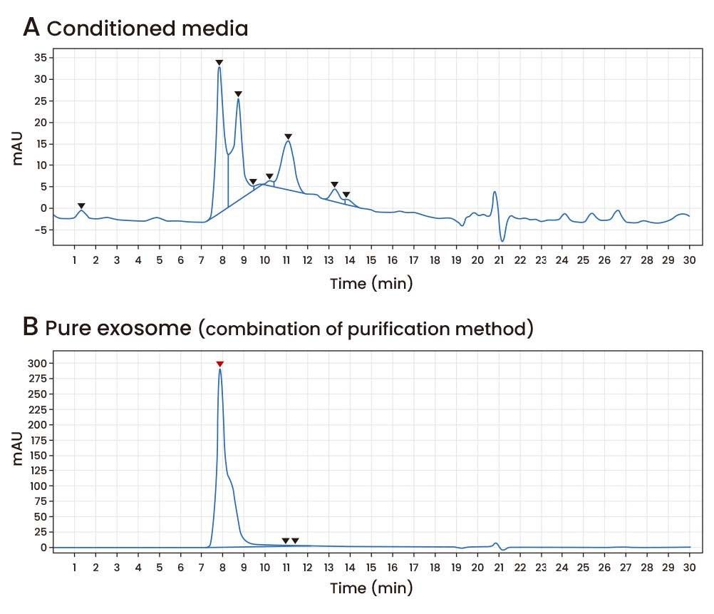 Chromatography-based analysis of exosome purity.
