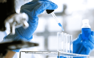 B Cell Sorting (Creative Biolabs Authorized)